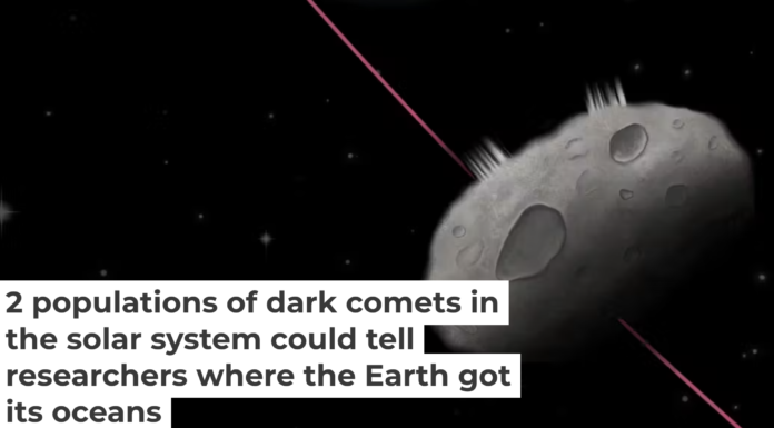 Dark comets accelerate through space but don’t have a dusty tail like most comets. Adina Feinstein and NASA’s Earth Observatory